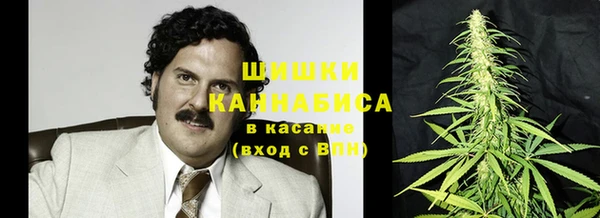 прущие грибы Армянск