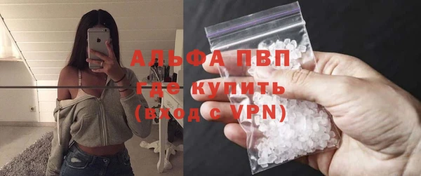 прущие грибы Армянск