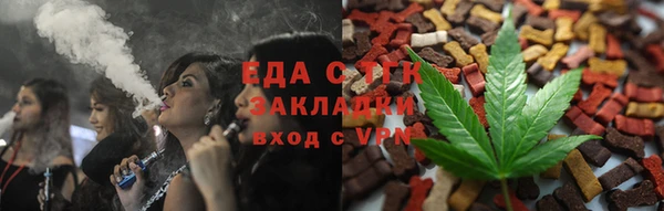 индика Аркадак