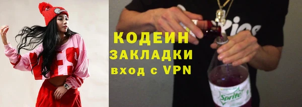 прущие грибы Армянск