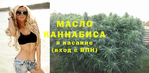 индика Аркадак