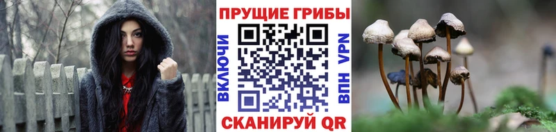 как найти Кремёнки KRAKEN ССЫЛКА Галлюциногенные грибы Psilocybe